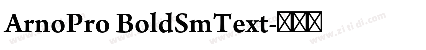 ArnoPro BoldSmText字体转换